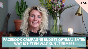 Facebook Campagne Budget Optimalisatie: wat is het en wat kun je ermee? birgitluijk.nl