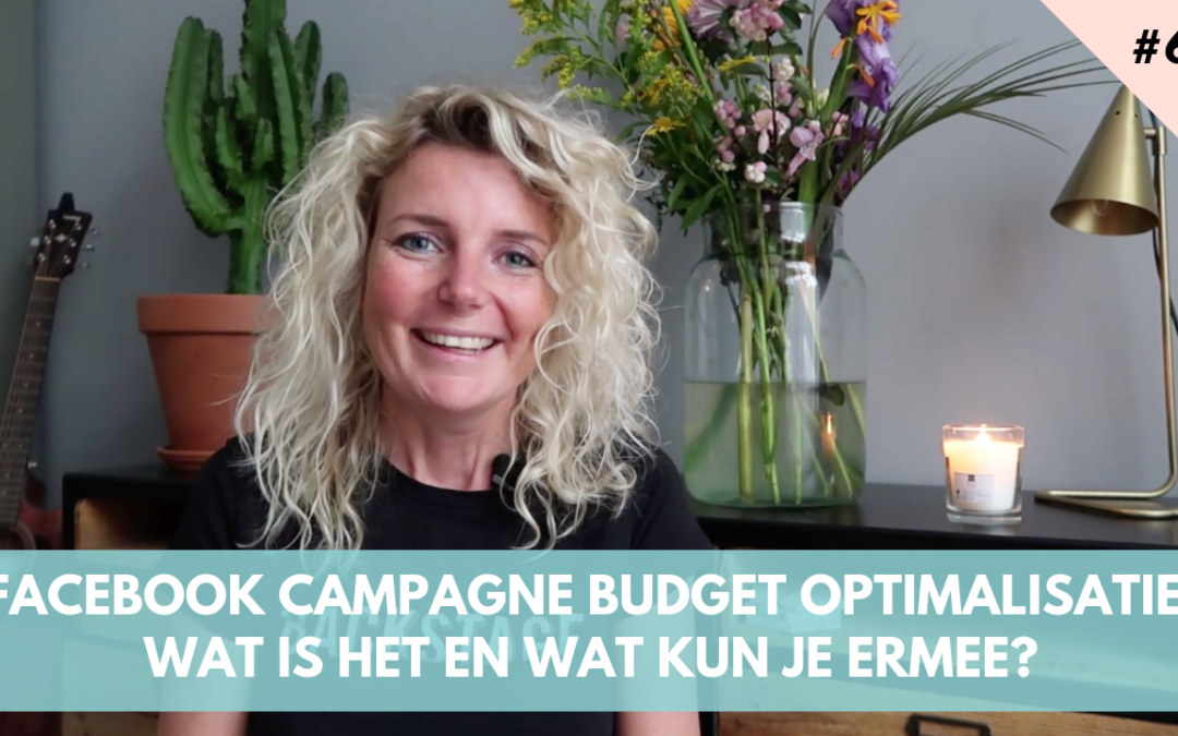 Facebook Campagne Budget Optimalisatie: wat is het en wat kun je ermee? birgitluijk.nl