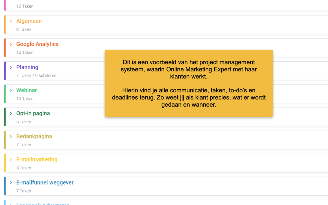 online marketing expert project management systeem