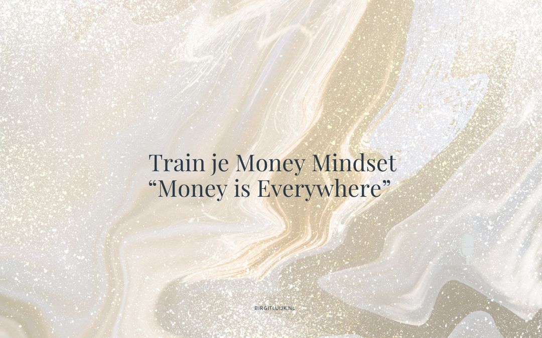 Train je Money Mindset met Money is Everywhere – birgit luijk business coach